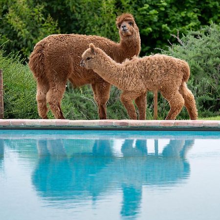 פרוג'ה Agriturismo Il Vecchio Mandorlo מראה חיצוני תמונה