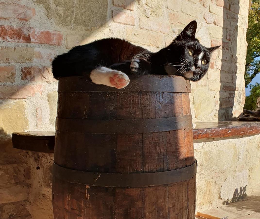פרוג'ה Agriturismo Il Vecchio Mandorlo מראה חיצוני תמונה