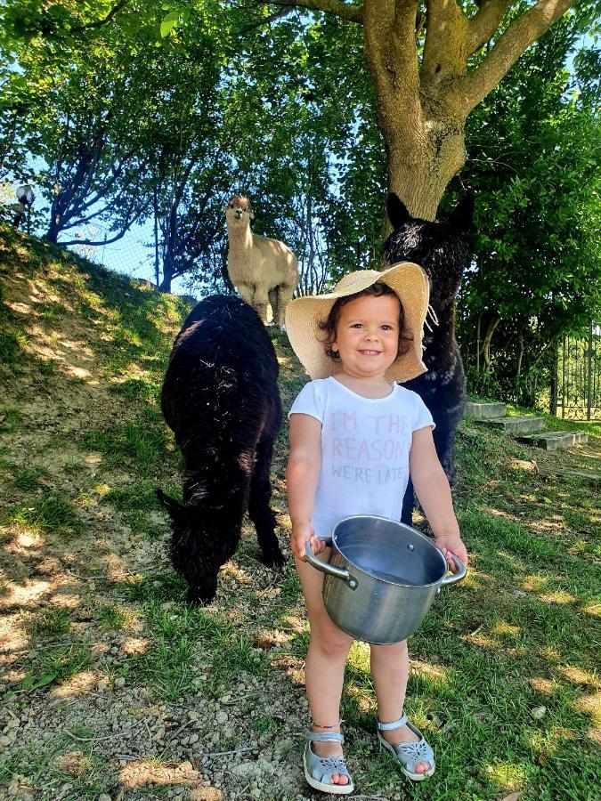 פרוג'ה Agriturismo Il Vecchio Mandorlo מראה חיצוני תמונה