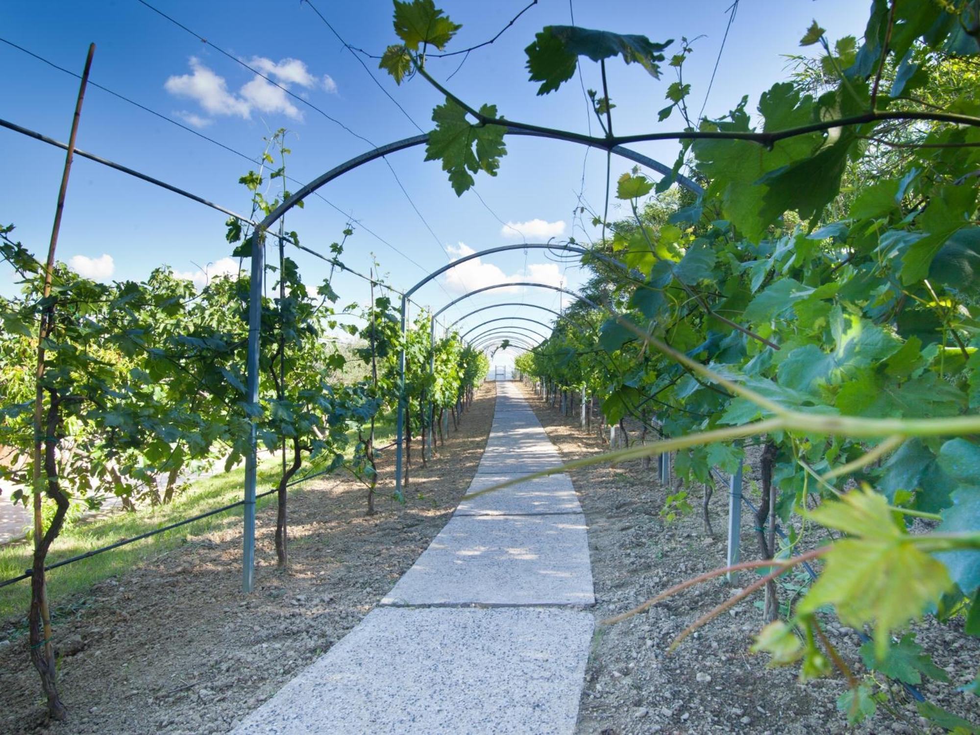 פרוג'ה Agriturismo Il Vecchio Mandorlo מראה חיצוני תמונה